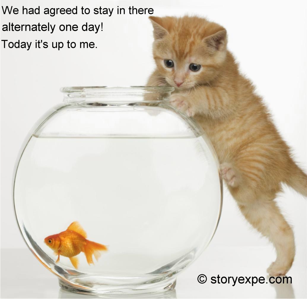 We had agreed to stay