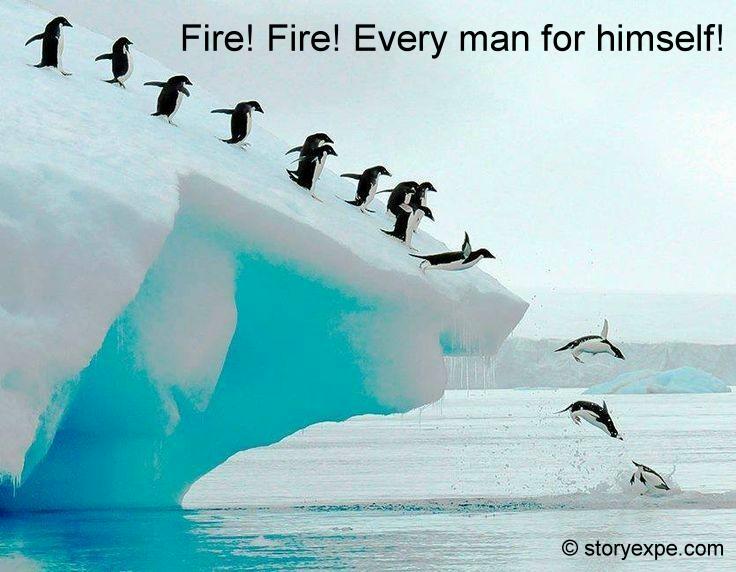 Fire! Fire! Every man