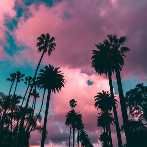 Beverly Hills