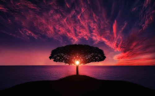Lucid dreams