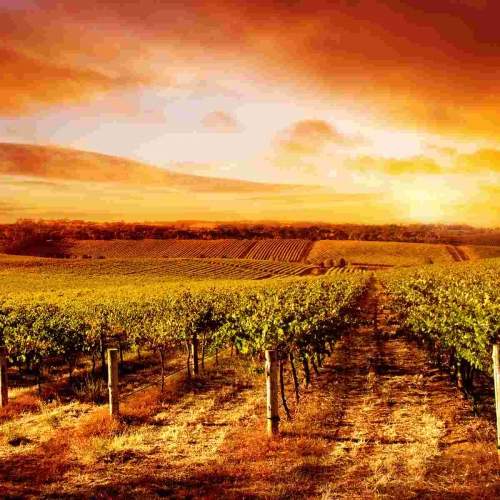 South Australia