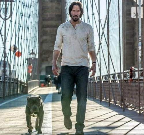 John Wick