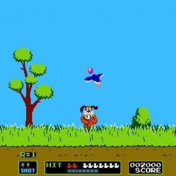 Duck Hunt