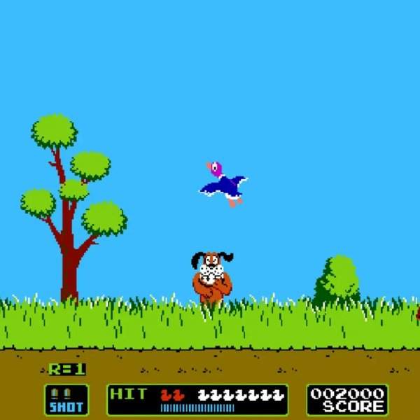 duck-hunt-2